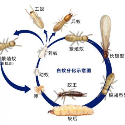 商場消殺過程中有什么需要注意的嗎