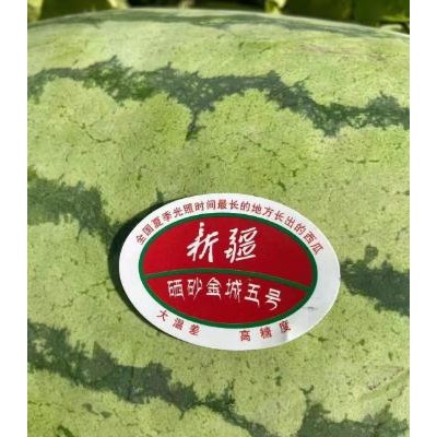 對于新疆大西瓜的種植要注意這些細(xì)節(jié)