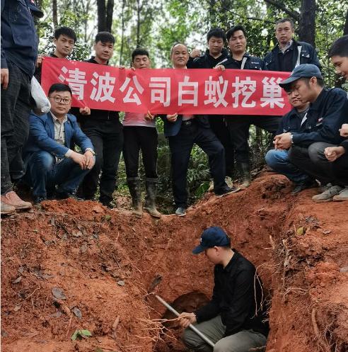 義烏白蟻防治收費標準-- 義烏清波滅鼠殺蟲公司