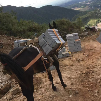 騾馬搬運(yùn)，打造無后顧之旅