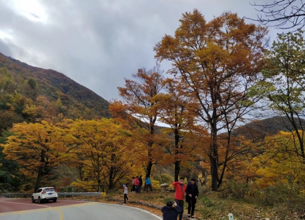 神農(nóng)架包車在哪里找?guī)煾悼孔V-- 神農(nóng)架忠勝汽車服務有限公司