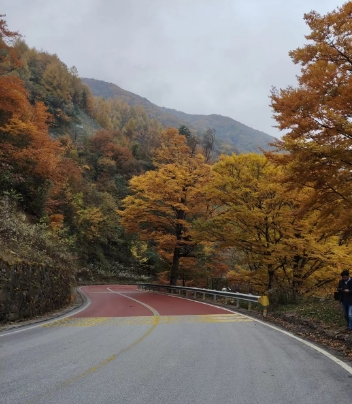 神龍架旅游包車打您領略神農(nóng)架的春夏秋冬-- 神農(nóng)架忠勝汽車服務有限公司