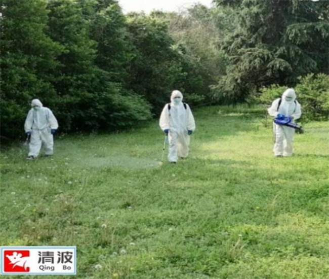 常州殺蟲公司介紹蟑螂有哪些特點-- 常州清波殺蟲滅鼠公司