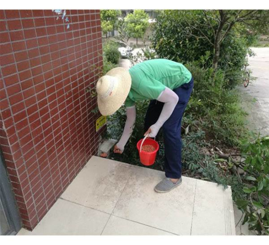 宿遷滅鼠公司淺析日常滅鼠方法-- 宿遷麗明殺蟲滅鼠消殺公司