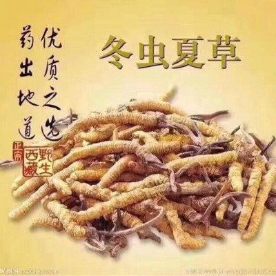 濟(jì)南冬蟲夏草回收提供專業(yè)的濰坊煙酒