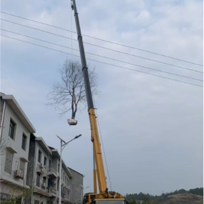 你知道高空車在哪些行業(yè)中的應(yīng)用比較