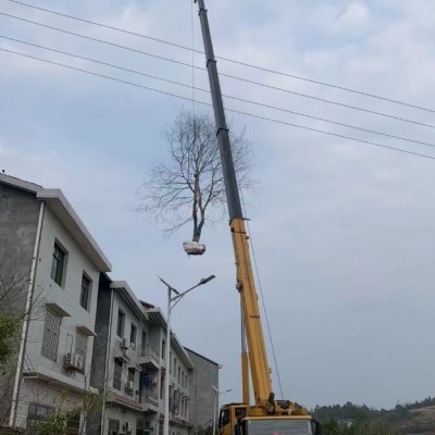 吊車的交付時(shí)間是如何確定的，能否按