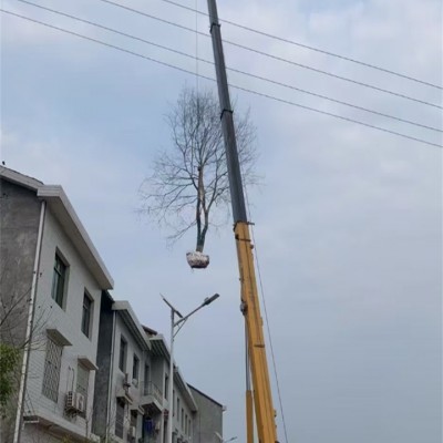 鄰水縣租吊車用于橋梁建設，有專業(yè)操